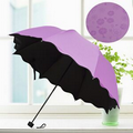 Coloured Foldable Umbrella